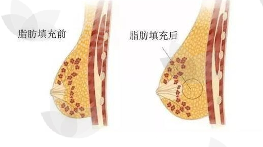 微信截图_20240417153451.png