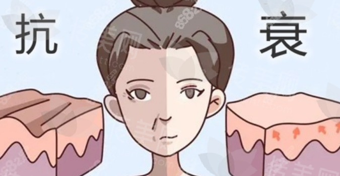 微信截图_20240509164509.png