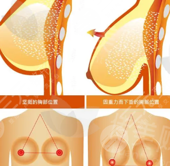 屏幕截图 2024-06-20 154258.png