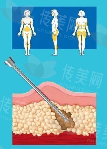 微信图片_20240701101821.jpg