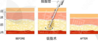 屏幕截图 2024-07-12 161208.png