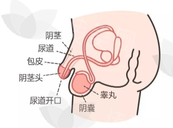 微信截图_20240712150547.png
