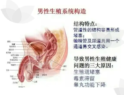微信截图_20240712150612.png