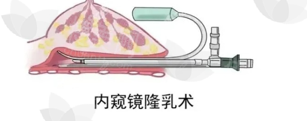 微信截图_20240716181424.png