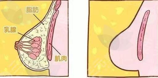 武汉中翰吴小蔚缩胸技术怎么样?价格多少?网友分享