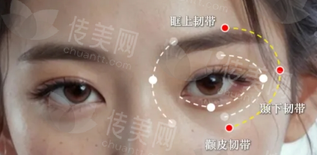 微信截图_20240927085838.png