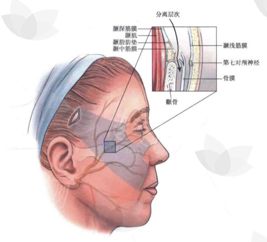 32EFD43B-41CC-4de1-97B9-3C538BE27D12.png