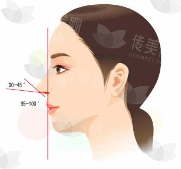 鼻1.jpg