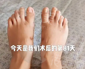 dajiao.png