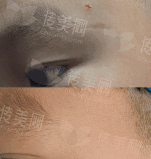 白虎.png