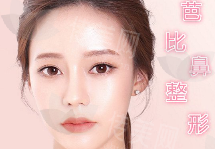 郑州整形项目价格参考整形项目 价格区间（元）