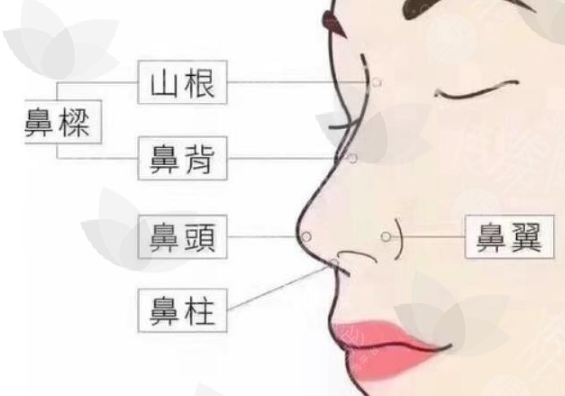 微信截图_20250416093926.png