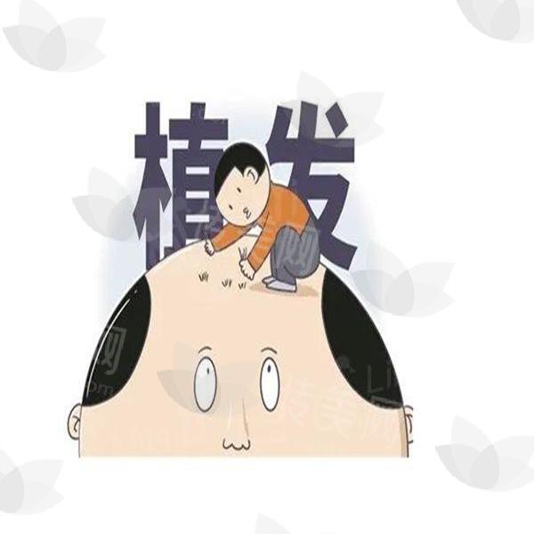 安徽省立医院可以植发吗?医院介绍+口碑点评+明星项目一览